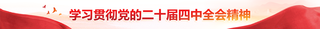 学习贯彻党的二十届四中全会精神